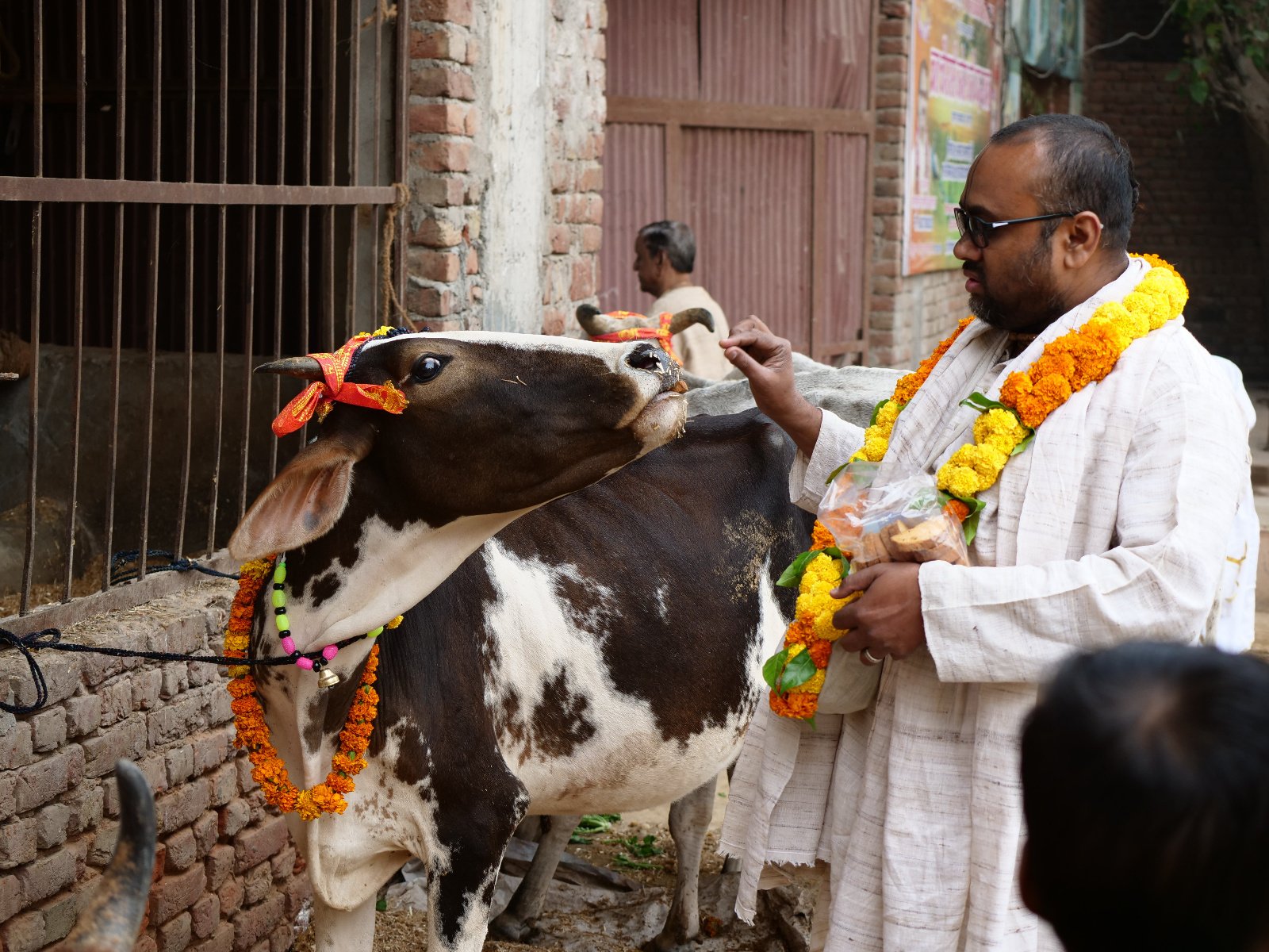  59 Gopashtami Radha kunda Govardhan 19.11.04